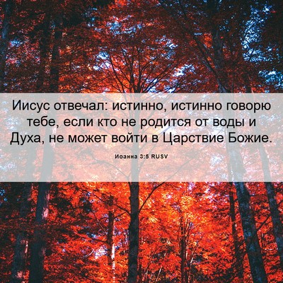 Picture 06 - Иоанна 3:5 RUSV - Иисус отвечал: истинно, - Bible Verse Picture