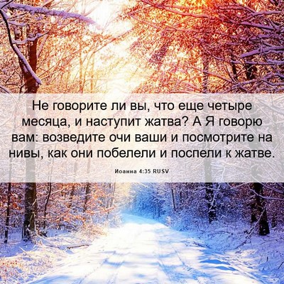 Picture 06 - Иоанна 4:35 RUSV - Не говорите ли вы, что еще - Bible Verse Picture