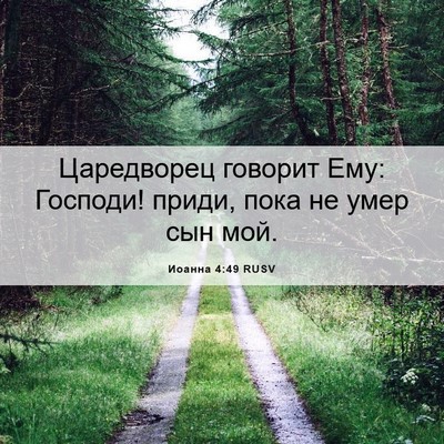 Picture 06 - Иоанна 4:49 RUSV - Царедворец говорит Ему: - Bible Verse Picture