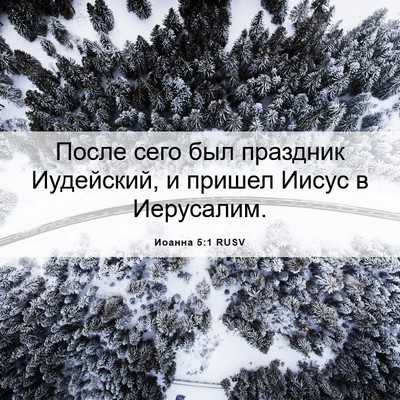 Picture 06 - Иоанна 5:1 RUSV - После сего был праздник - Bible Verse Picture