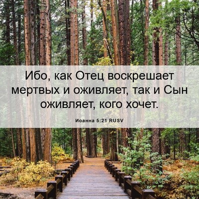 Picture 06 - Иоанна 5:21 RUSV - Ибо, как Отец воскрешает - Bible Verse Picture