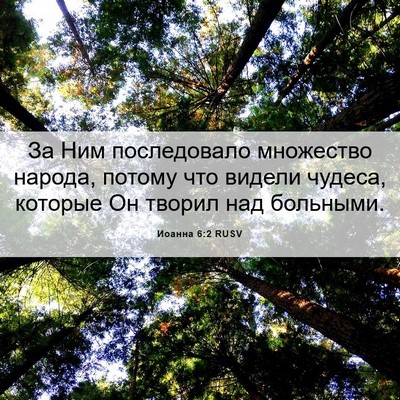 Picture 06 - Иоанна 6:2 RUSV - За Ним последовало - Bible Verse Picture