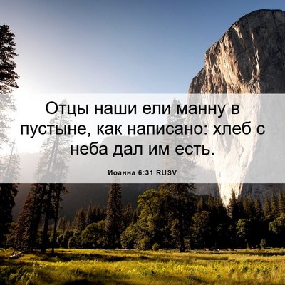 Picture 06 - Иоанна 6:31 RUSV - Отцы наши ели манну в - Bible Verse Picture