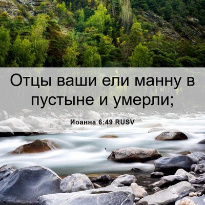 Picture 06 - Иоанна 6:49 RUSV - Отцы ваши ели манну в - Bible Verse Picture