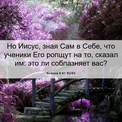 Picture 06 - Иоанна 6:61 RUSV - Но Иисус, зная Сам в Себе, - Bible Verse Picture