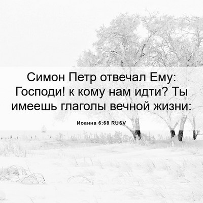 Picture 06 - Иоанна 6:68 RUSV - Симон Петр отвечал Ему: - Bible Verse Picture