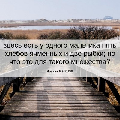 Picture 06 - Иоанна 6:9 RUSV - здесь есть у одного - Bible Verse Picture