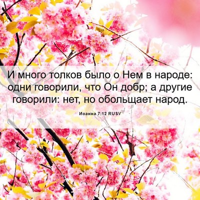 Picture 06 - Иоанна 7:12 RUSV - И много толков было о Нем в - Bible Verse Picture