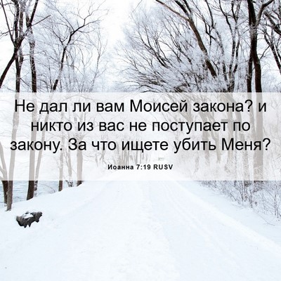 Picture 06 - Иоанна 7:19 RUSV - Не дал ли вам Моисей - Bible Verse Picture