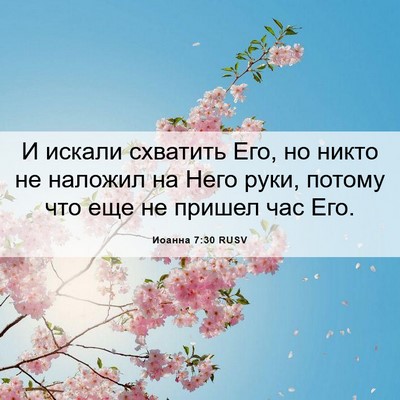Picture 06 - Иоанна 7:30 RUSV - И искали схватить Его, но - Bible Verse Picture