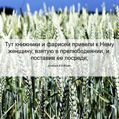 Picture 06 - Иоанна 8:3 RUSV - Тут книжники и фарисеи - Bible Verse Picture