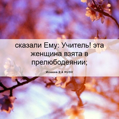 Picture 06 - Иоанна 8:4 RUSV - сказали Ему: Учитель! эта - Bible Verse Picture