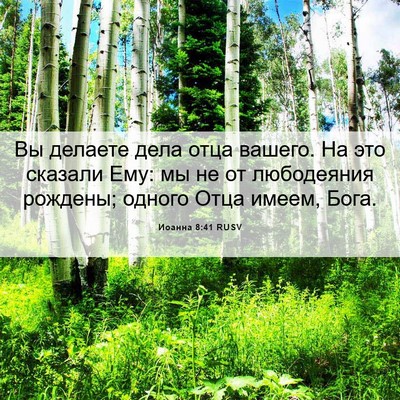 Picture 06 - Иоанна 8:41 RUSV - Вы делаете дела отца - Bible Verse Picture