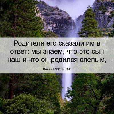 Picture 06 - Иоанна 9:20 RUSV - Родители его сказали им в - Bible Verse Picture