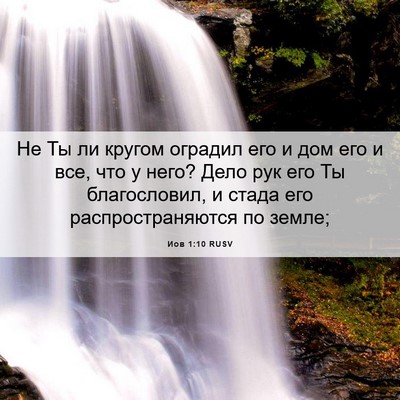 Picture 06 - Иов 1:10 RUSV - Не Ты ли кругом оградил его - Bible Verse Picture
