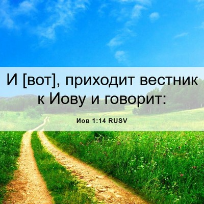 Picture 06 - Иов 1:14 RUSV - И [вот], приходит вестник к - Bible Verse Picture