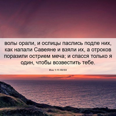 Picture 06 - Иов 1:15 RUSV - волы орали, и ослицы - Bible Verse Picture