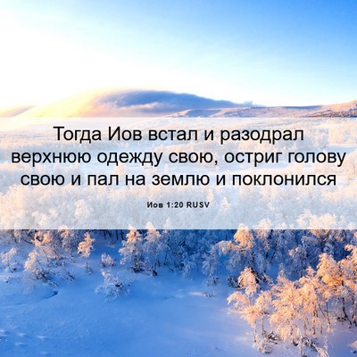 Picture 06 - Иов 1:20 RUSV - Тогда Иов встал и разодрал - Bible Verse Picture