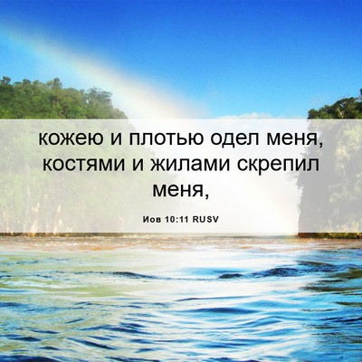 Picture 06 - Иов 10:11 RUSV - кожею и плотью одел меня, - Bible Verse Picture