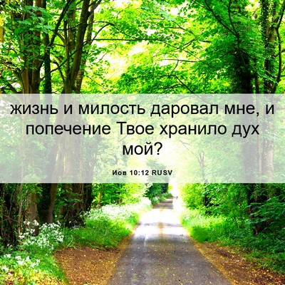 Picture 06 - Иов 10:12 RUSV - жизнь и милость даровал - Bible Verse Picture