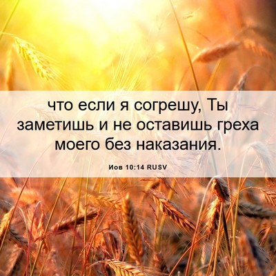 Picture 06 - Иов 10:14 RUSV - что если я согрешу, Ты - Bible Verse Picture