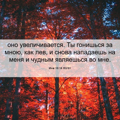 Picture 06 - Иов 10:16 RUSV - оно увеличивается. Ты - Bible Verse Picture
