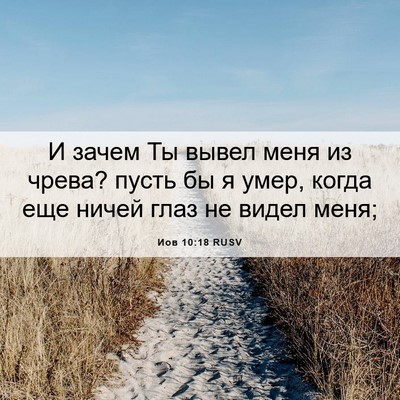 Picture 06 - Иов 10:18 RUSV - И зачем Ты вывел меня из - Bible Verse Picture