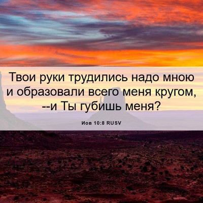 Picture 06 - Иов 10:8 RUSV - Твои руки трудились надо - Bible Verse Picture