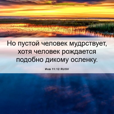 Picture 06 - Иов 11:12 RUSV - Но пустой человек - Bible Verse Picture