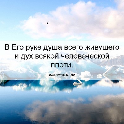 Picture 06 - Иов 12:10 RUSV - В Его руке душа всего - Bible Verse Picture