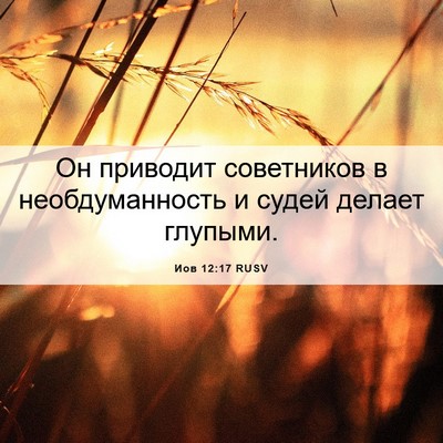 Picture 06 - Иов 12:17 RUSV - Он приводит советников в - Bible Verse Picture