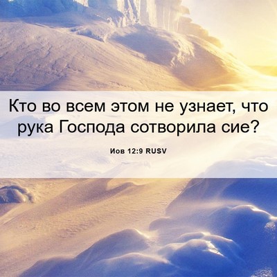 Picture 06 - Иов 12:9 RUSV - Кто во всем этом не узнает, - Bible Verse Picture