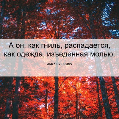 Picture 06 - Иов 13:28 RUSV - А он, как гниль, - Bible Verse Picture