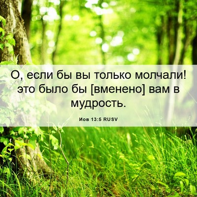 Picture 06 - Иов 13:5 RUSV - О, если бы вы только - Bible Verse Picture