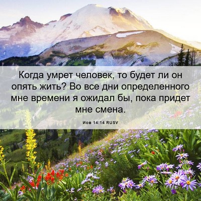 Picture 06 - Иов 14:14 RUSV - Когда умрет человек, то - Bible Verse Picture