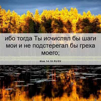 Picture 06 - Иов 14:16 RUSV - ибо тогда Ты исчислял бы - Bible Verse Picture