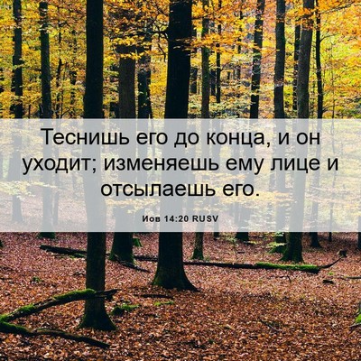 Picture 06 - Иов 14:20 RUSV - Теснишь его до конца, и он - Bible Verse Picture