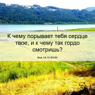Picture 06 - Иов 15:12 RUSV - К чему порывает тебя - Bible Verse Picture