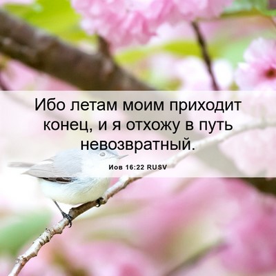 Picture 06 - Иов 16:22 RUSV - Ибо летам моим приходит - Bible Verse Picture