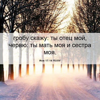 Picture 06 - Иов 17:14 RUSV - гробу скажу: ты отец мой, - Bible Verse Picture