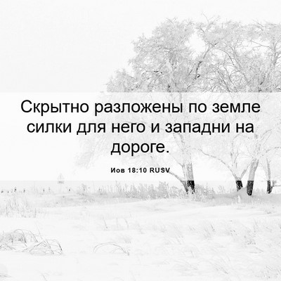 Picture 06 - Иов 18:10 RUSV - Скрытно разложены по земле - Bible Verse Picture