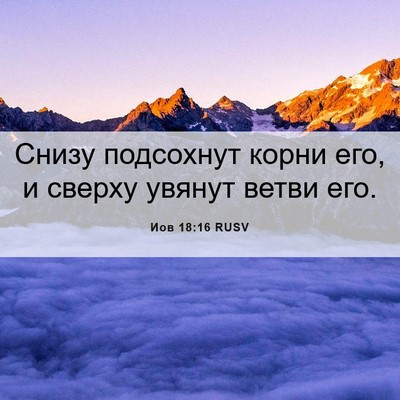 Picture 06 - Иов 18:16 RUSV - Снизу подсохнут корни его, - Bible Verse Picture