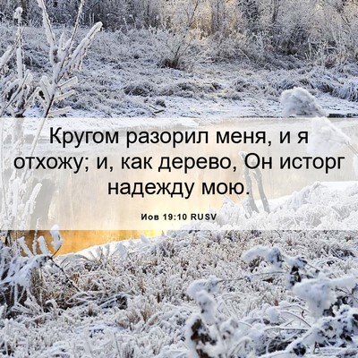 Picture 06 - Иов 19:10 RUSV - Кругом разорил меня, и я - Bible Verse Picture