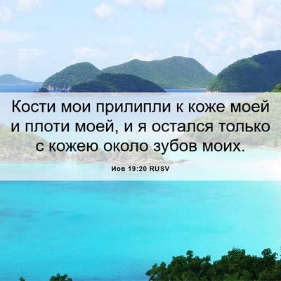 Picture 06 - Иов 19:20 RUSV - Кости мои прилипли к коже - Bible Verse Picture