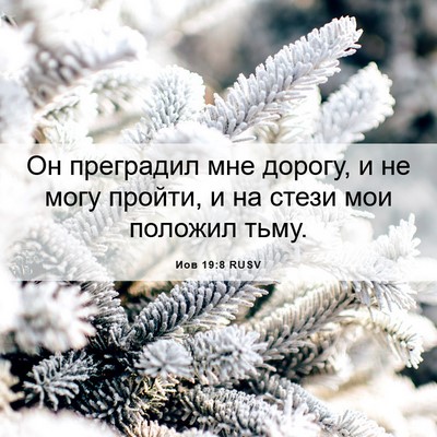 Picture 06 - Иов 19:8 RUSV - Он преградил мне дорогу, и - Bible Verse Picture