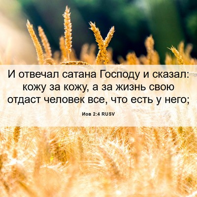 Picture 06 - Иов 2:4 RUSV - И отвечал сатана Господу и - Bible Verse Picture
