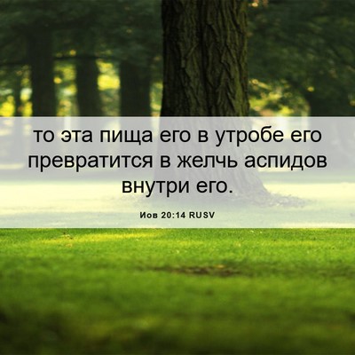 Picture 06 - Иов 20:14 RUSV - то эта пища его в утробе - Bible Verse Picture