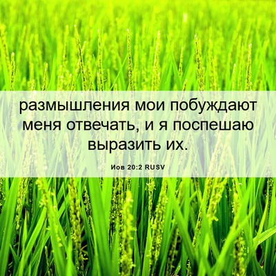 Picture 06 - Иов 20:2 RUSV - размышления мои побуждают - Bible Verse Picture