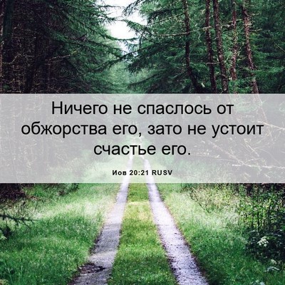 Picture 06 - Иов 20:21 RUSV - Ничего не спаслось от - Bible Verse Picture