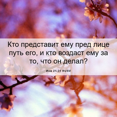 Picture 06 - Иов 21:31 RUSV - Кто представит ему пред - Bible Verse Picture